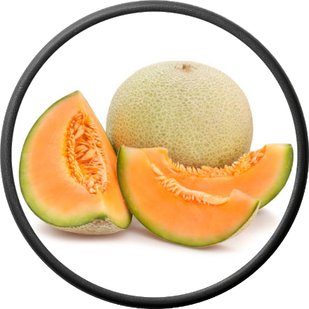 Fresh Cantaloupe
